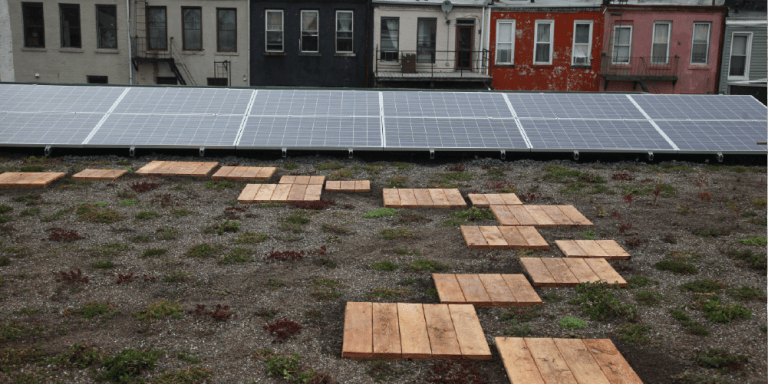 Green roof with solar panels at AEA’s Bronx training center