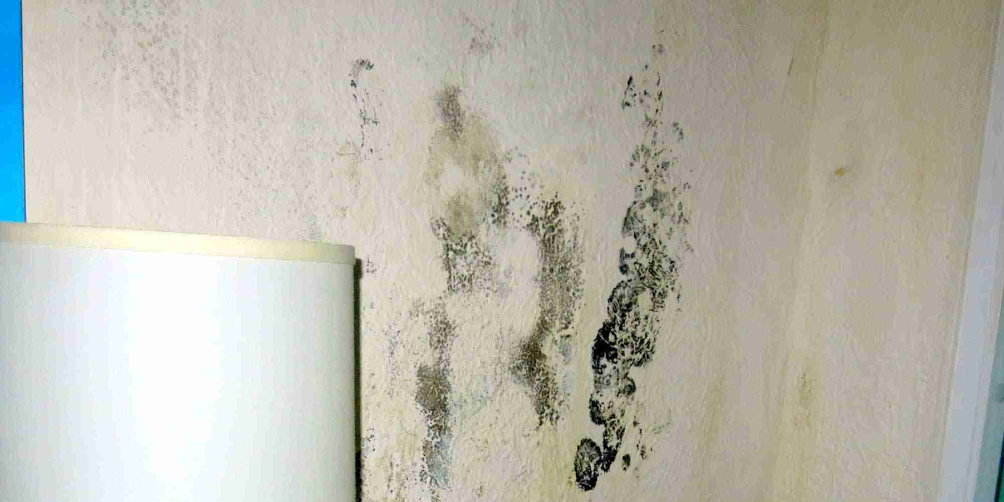 Mold growing on interior wall due to water damage after flooding